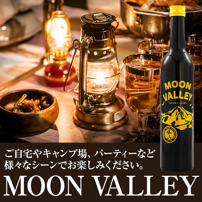 MOON VALLEY